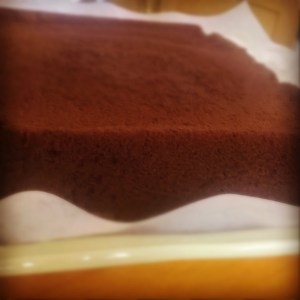 Order now at By Grace Cakes bakery, Bay City, Mi. Flourless, gluten free chocolate cake with no sugar added. Both paleo and Trim Healthy Mama approved.